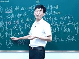 张景明零基础学中医《中医哲学基础》12集下载